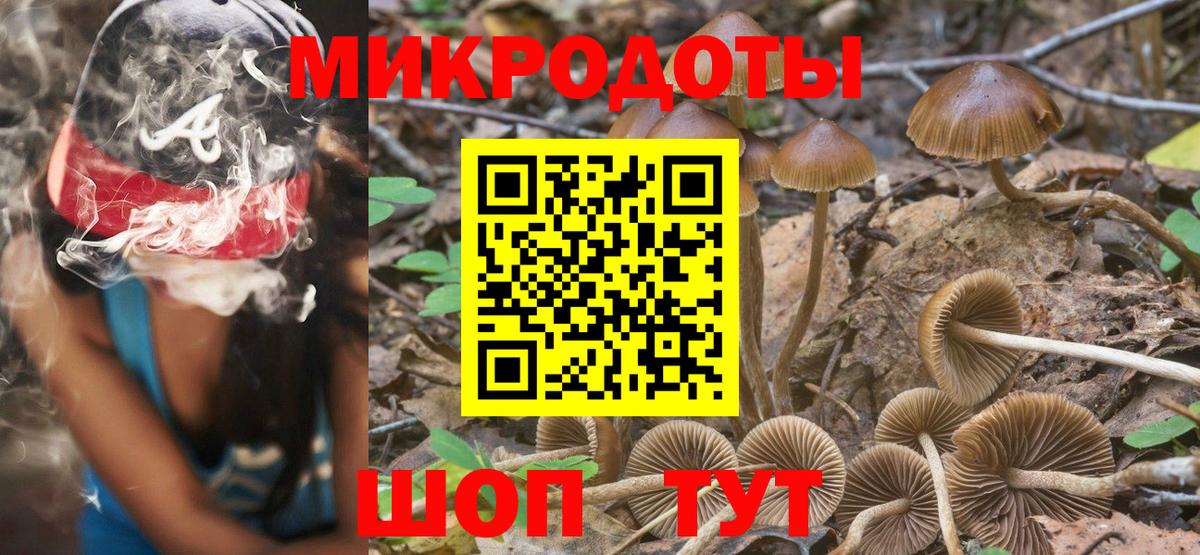 Фролово  Псилоцибиновые грибы мицелий  Вход с VPN  Псилоцибиновые грибы GOLDEN TEACHER 