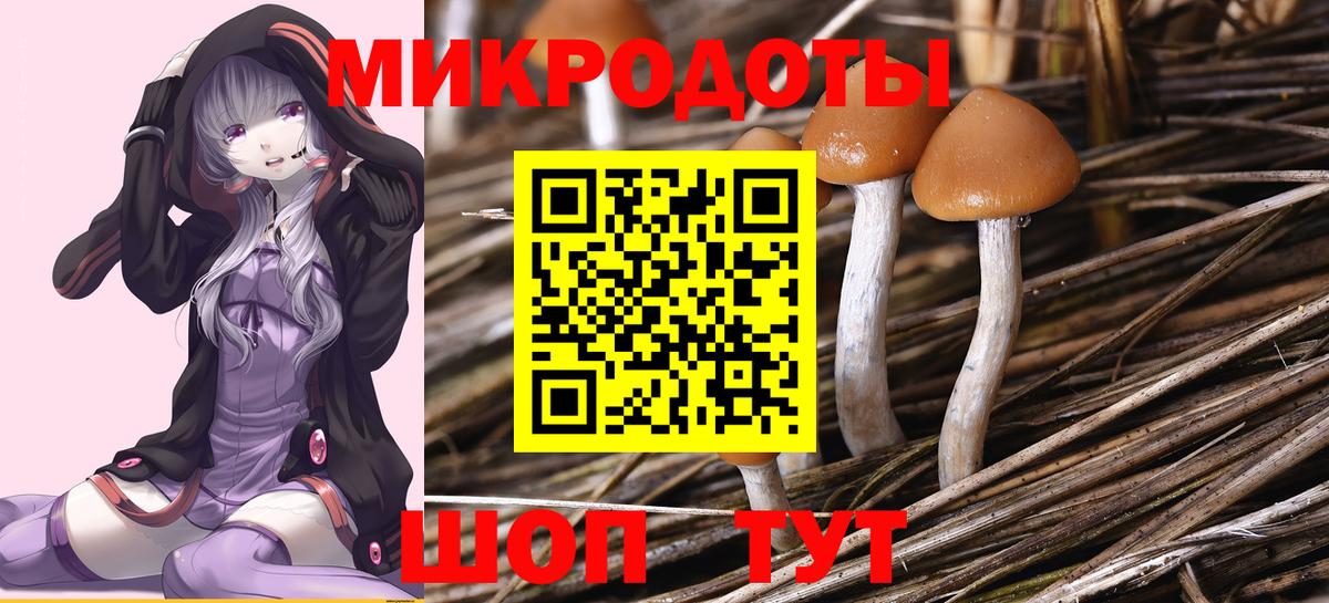 Псилоцибиновые грибы Cubensis Фролово